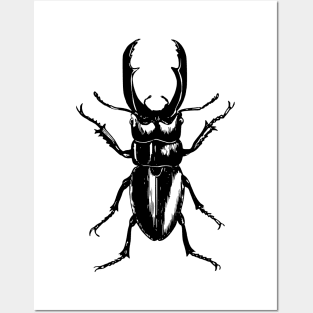 Beetle Posters and Art